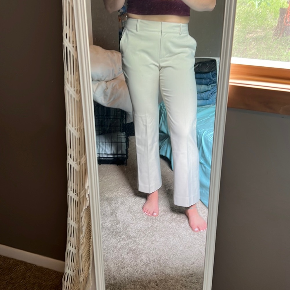 Ann Taylor Beige Trouser